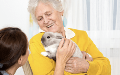 Les bienfaits de la zoothérapie sur la santé des seniors